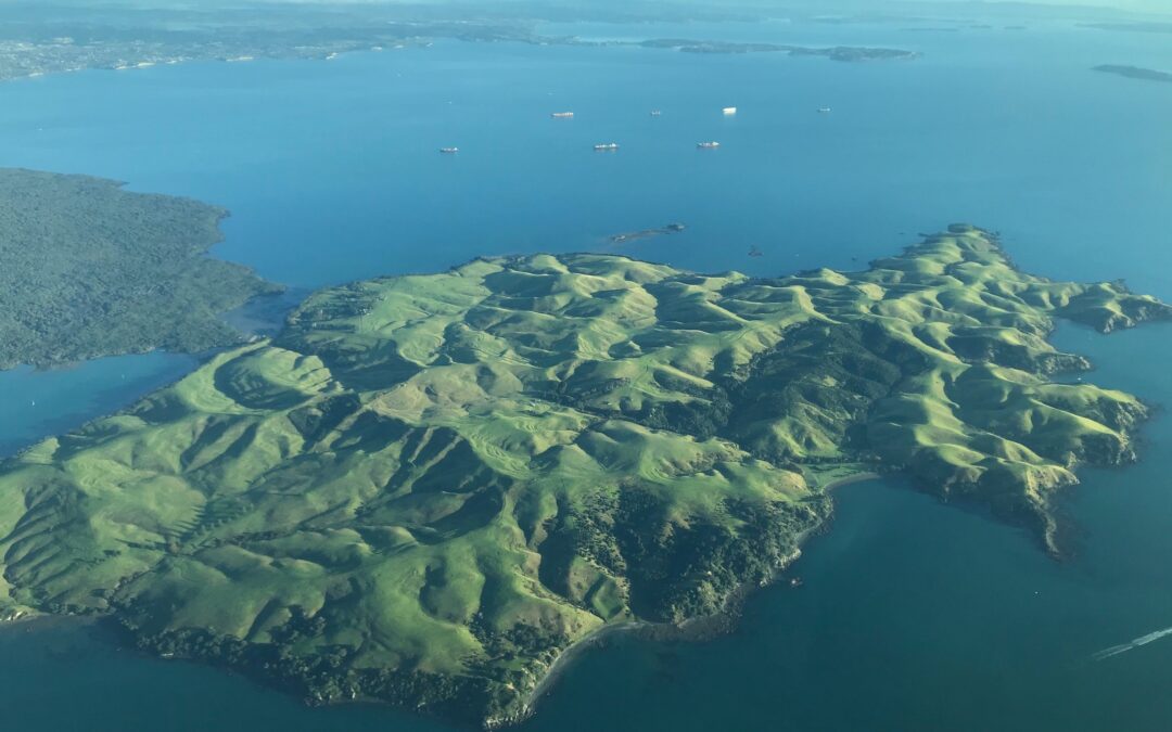 Motutapu Island stoat incursion update