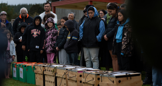 Kiwi return to Tongariro