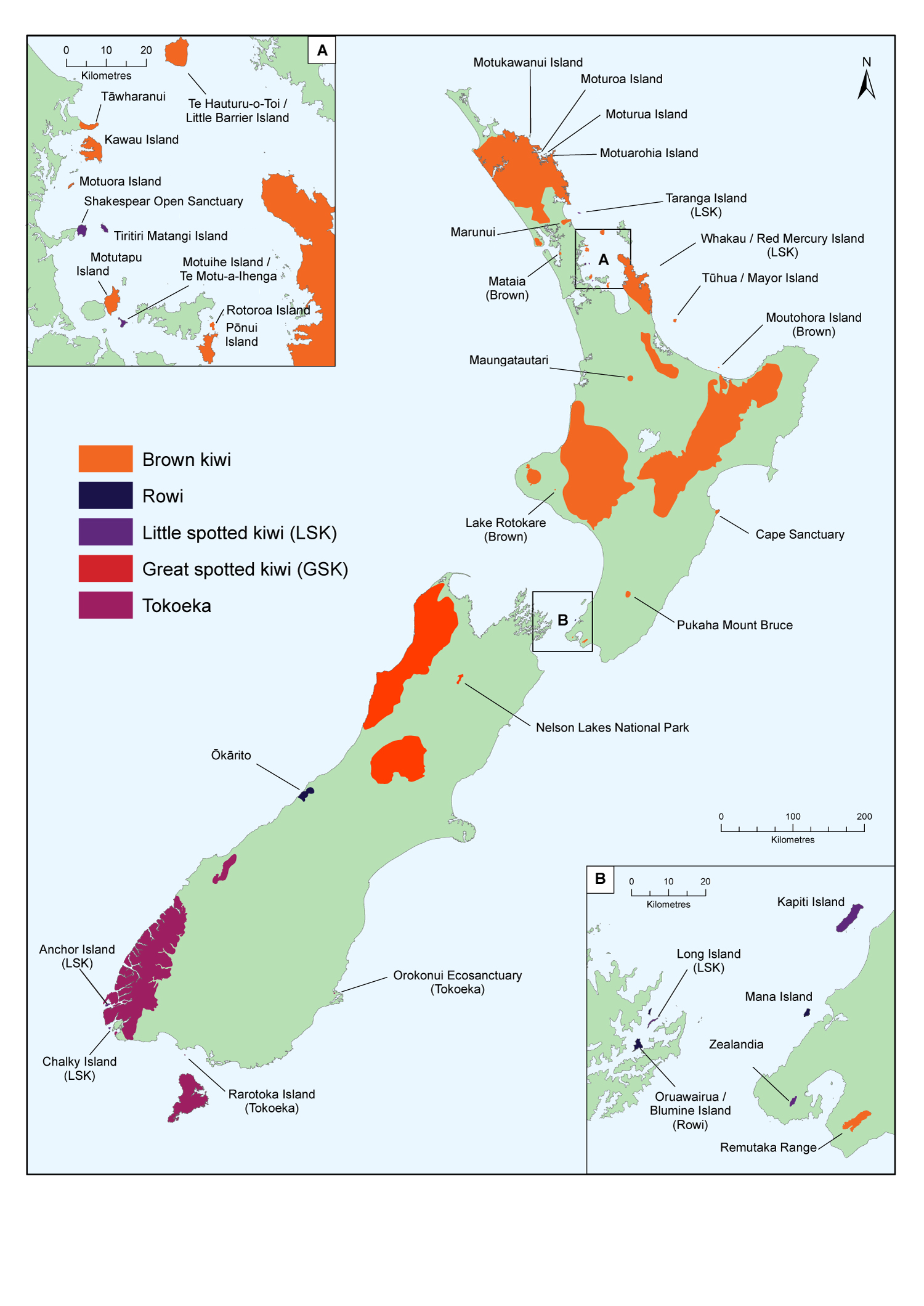 where kiwi live in nz