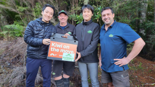 100th kiwi released into Whangapoua Forest