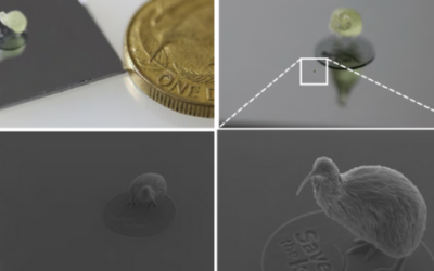 World’s Smallest Kiwi created using nanotechnology