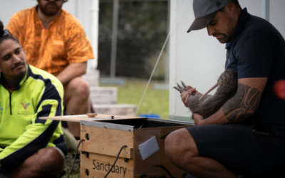 Kiwi training kaupapa creates long-term employment opportunities