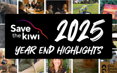 2025 Year End Highlights