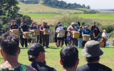 Ngāti Rangi welcome kiwi from Sanctuary Mountain Maungatautari