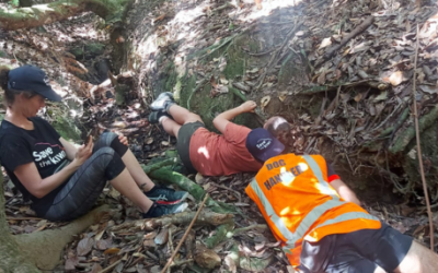 Save the Kiwi conducts first comprehensive kiwi survey on Kawau Island