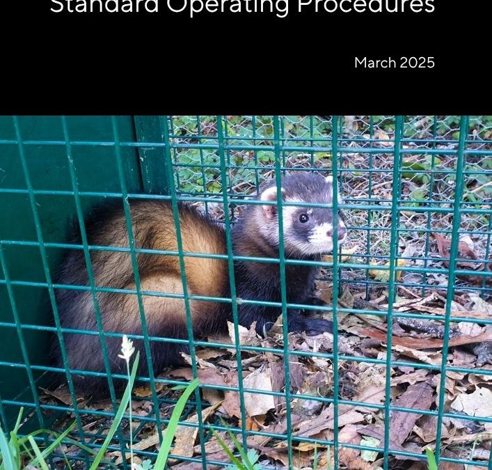 Ferret Control: Standard Operating Procedures
