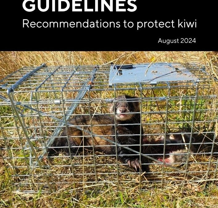 Ferret Trapper’s Guidelines: Recommendations to protect kiwi