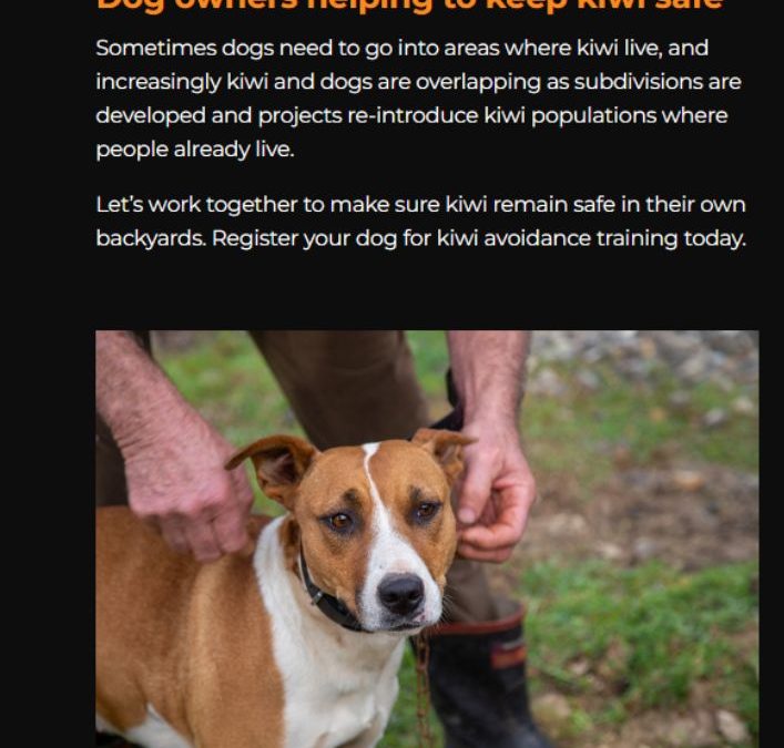 Kiwi Avoidance Training website