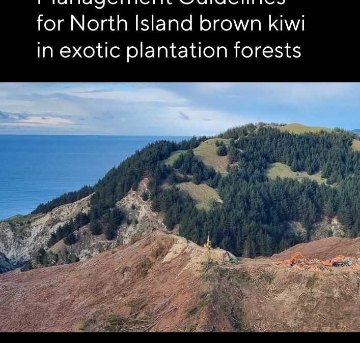 Kiwi and Forestry