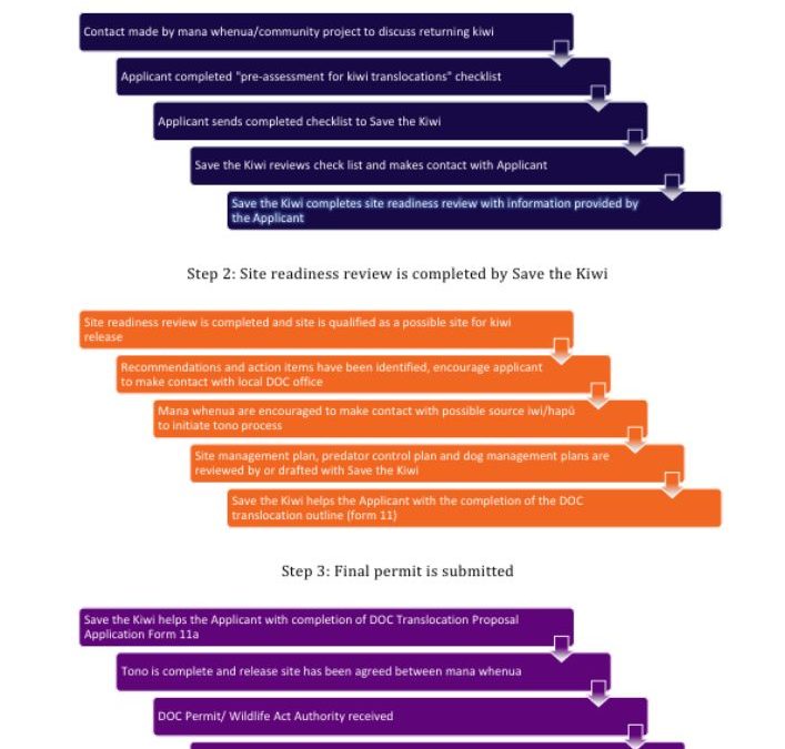 Site readiness flow chart