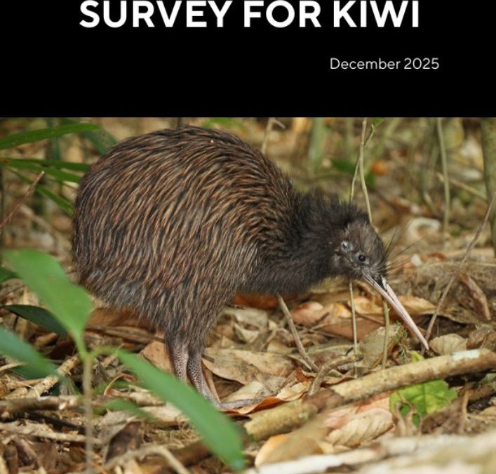 A Guide on How to Survey for kiwi