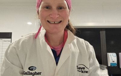 Gallagher Kiwi Burrow welcomes 2026 incubation season